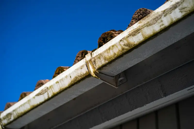 Gutter clogged with debris along a roofline